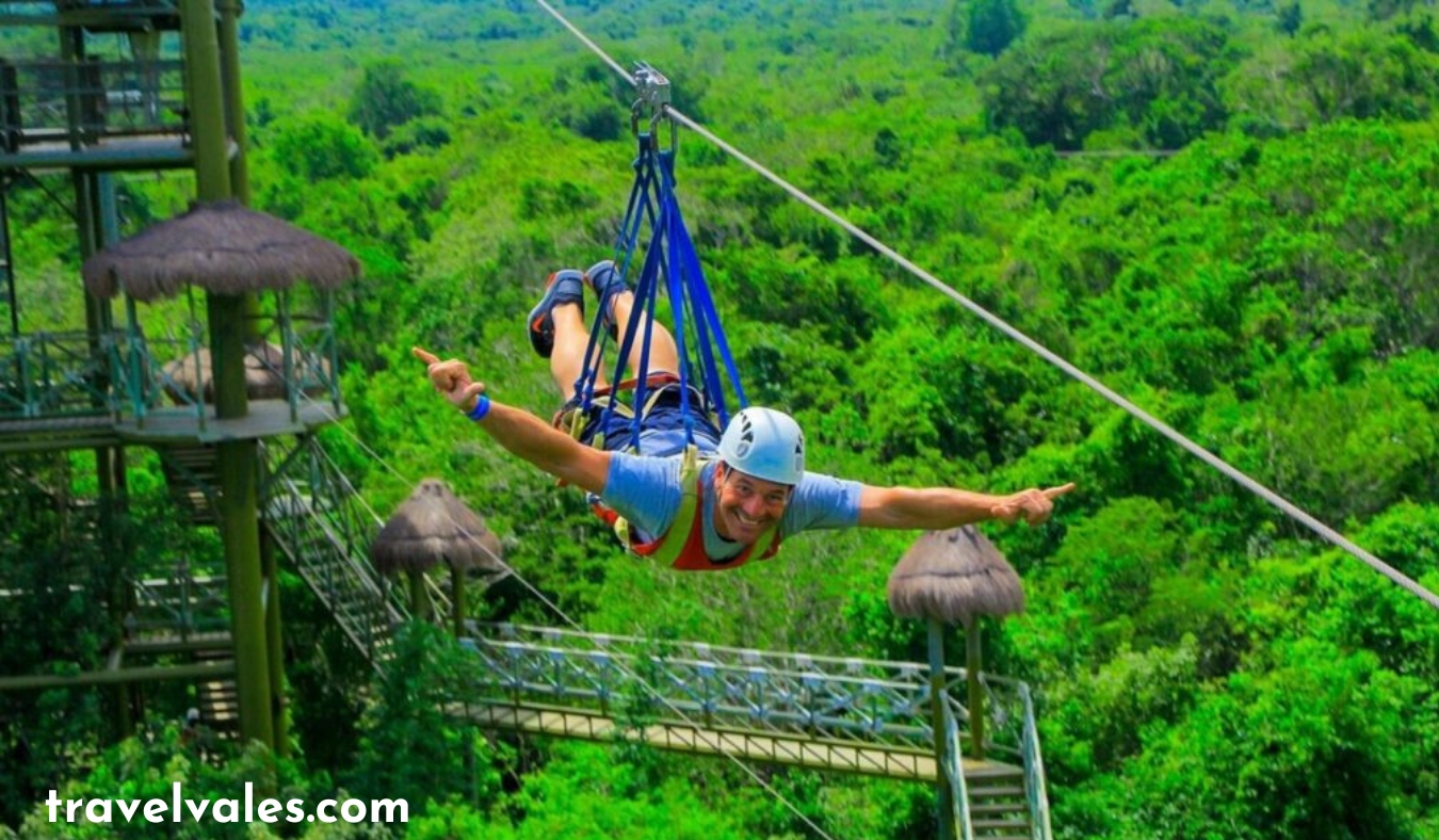 Selvatica