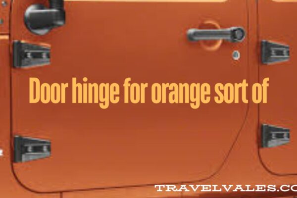 Door hinge for orange sort of