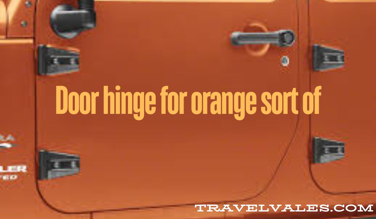 Door hinge for orange sort of