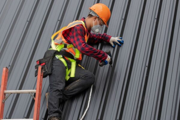 Professional Metal Roofing