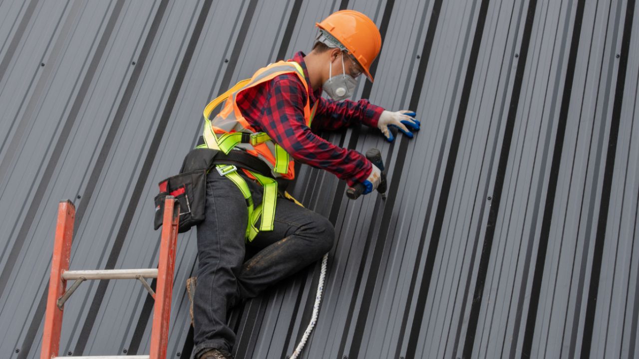 Professional Metal Roofing